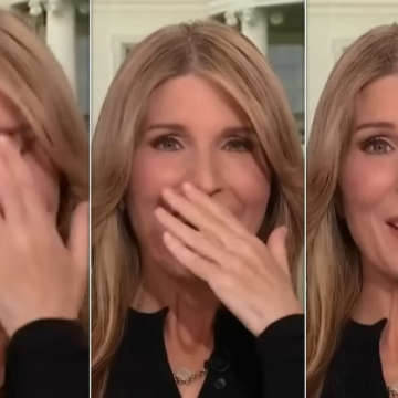 Nicolle Wallace Stunned By New Donald Trump Montage: ‘I Thought That Was AI’ – HuffPost