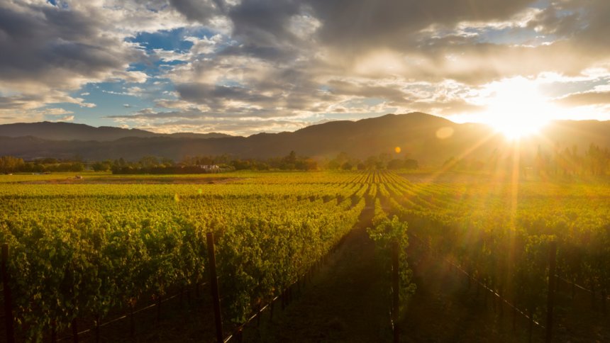 wp-header-logo-1331.png India’s hidden wine regions beyond Nashik