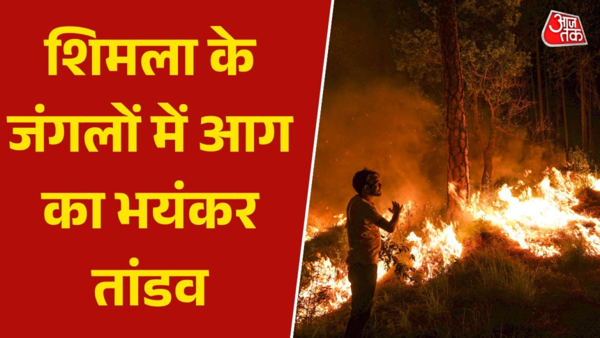 हिमाचल प्रदेश: सोलन के बाद अब धधके शिमला के जंगल, दिखीं भयंकर लपटें – AajTak