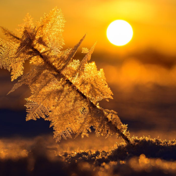 wp-header-logo-1345.png Unloved software stocks have their day in the sun – Sherwood News