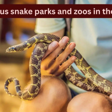 wp-header-logo-1429.png 10 famous snake parks and zoos in the USA every wildlife traveller should visit and how to reach here