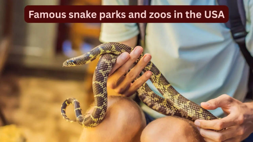 10 famous snake parks and zoos in the USA every wildlife traveller should visit and how to reach here