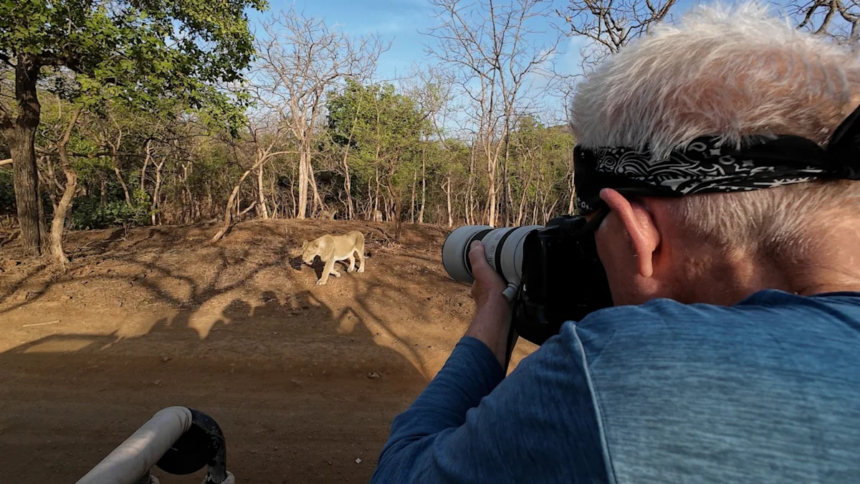 How a National Geographic photographer tracked India’s last lions – AOL.com