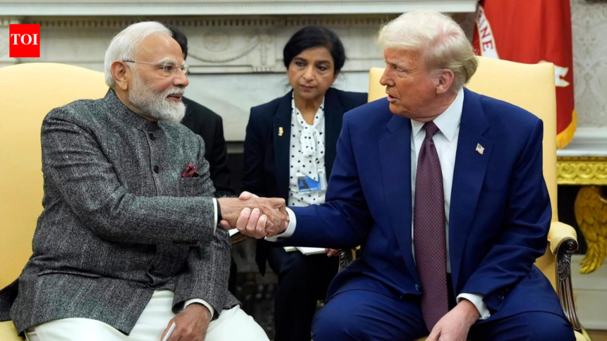 wp-header-logo-1956.png 'Trump has said India a great country': US in firefight mode after president's 'hellhole' remark – The Times of India