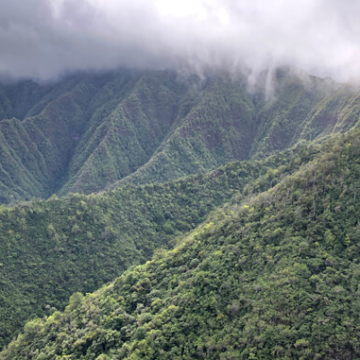 wp-header-logo-2121.png How AI and field tech are clearing through the fog on Mount Kaʻala – University of Hawaii System