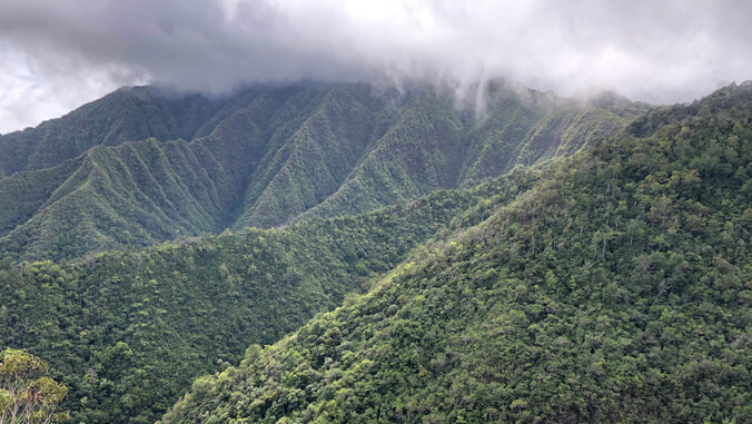 wp-header-logo-2121.png How AI and field tech are clearing through the fog on Mount Kaʻala – University of Hawaii System