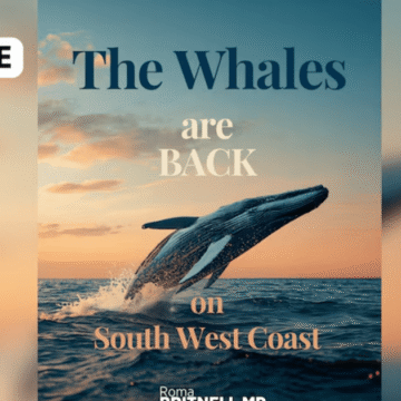 wp-header-logo-2254.png Do AI-generated images have any place in politics? – RNZ