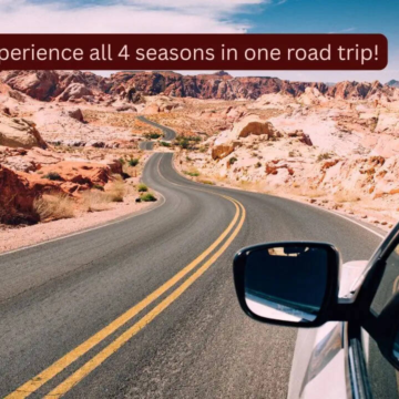 wp-header-logo-229.png 5 places on Earth where you can experience all four seasons in one road trip