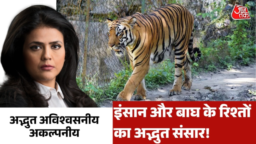 wp-header-logo-2705.png इंसान और जानवर की वो रहस्यमयी कहानी, जो न पहले सुनी… न पहले देखी, देखें अद्भुत अविश्वसनीय अकल्पनीय – AajTak