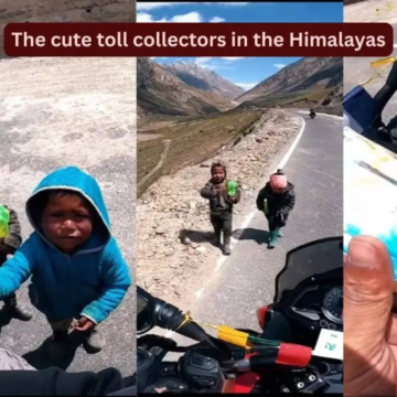 wp-header-logo-2721.png Meet the cutest ‘toll collectors’ in the Himalayas and why Zanskar deserves a spot on every traveller’s bucket list