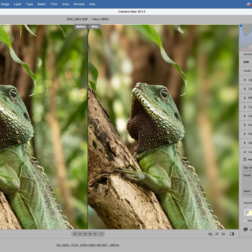wp-header-logo-2828.png Here is the best photo editing software to use in 2026 – Amateur Photographer