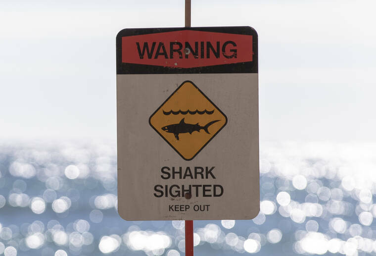 wp-header-logo-3024.png Man, 38, seriously hurt after being bitten by shark off Diamond Head – Honolulu Star-Advertiser