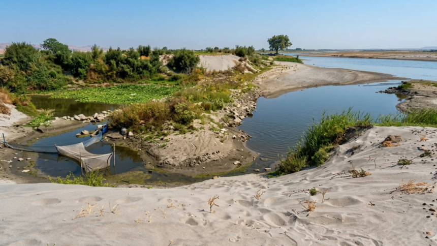 wp-header-logo-819.png Why Yamuna is now brownish narrow stream