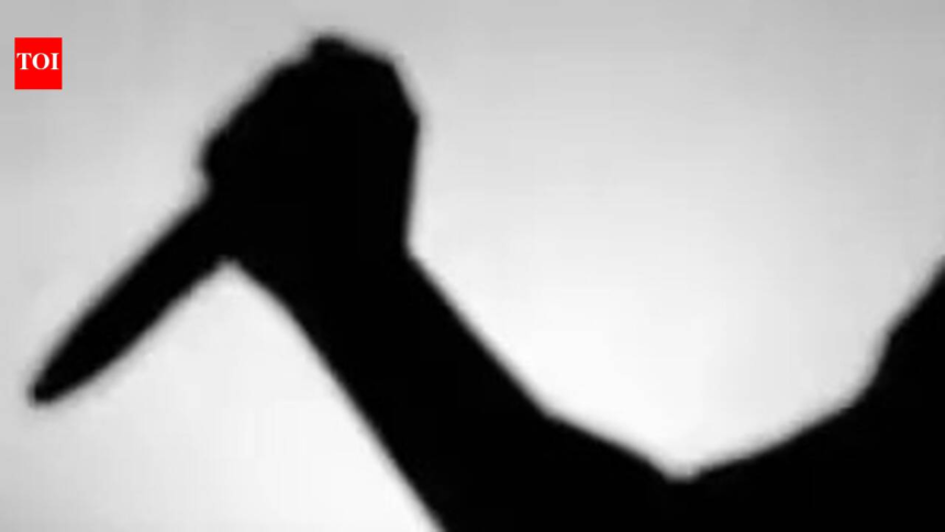 Man stabs woman to death – The Times of India