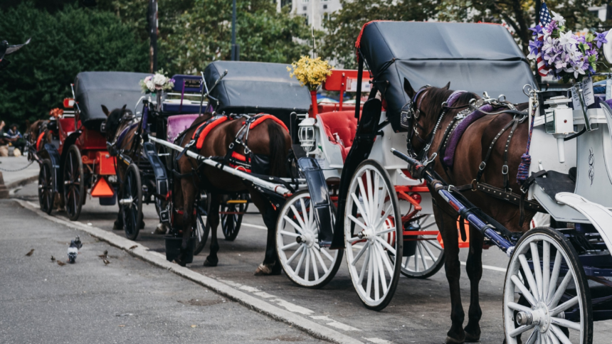 ‘Just to save his mother’: Indian teen dies in horse carriage accident in New York’s Central Park – The Indian Express