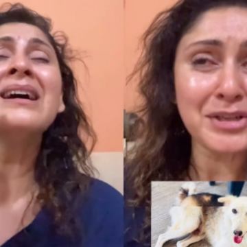 Actor Manjari Fadnis’s dog-killing claim hits twist: Suspected blood sample was paan spit – The Indian Express