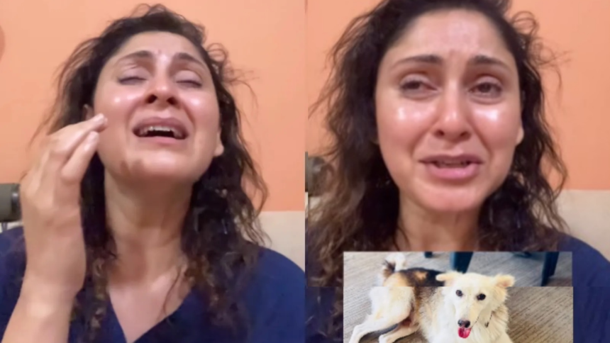 Actor Manjari Fadnis’s dog-killing claim hits twist: Suspected blood sample was paan spit – The Indian Express