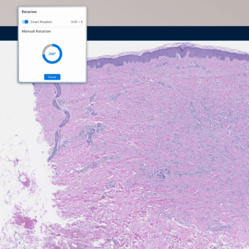 Proscia Releases New Version of Pathology Platform – Clinical Lab Products