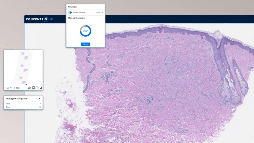 Proscia Releases New Version of Pathology Platform – Clinical Lab Products
