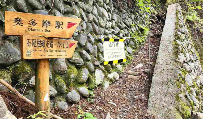 wp-header-logo-1434.png Tokyo government to work with start-ups to ward off bears; possible measures include AI detection system – Asia News Network