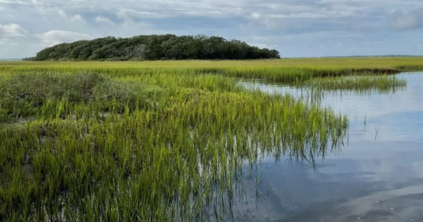 wp-header-logo-1449.png On Monday's show: History of land conservation – WJCT News 89.9