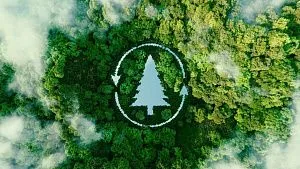 wp-header-logo-1465.png India restores over 21 million hectares of degraded land in push towards 2030 target – TV BRICS