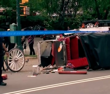 wp-header-logo-1531.png How Indian teen tourist's death may lead to ban on New York's 150-year old horse-drawn carriages | World News – Hindustan Times
