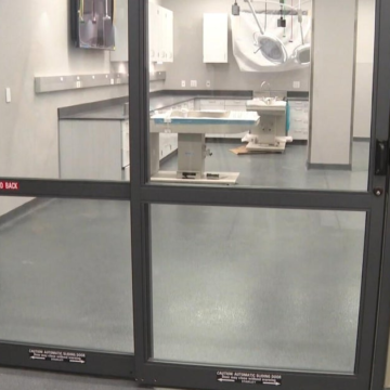 Colorado State University helping to address veterinary shortage with opening of new vet teaching hospital – CBS News