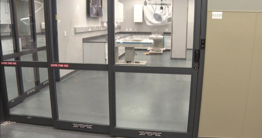 Colorado State University helping to address veterinary shortage with opening of new vet teaching hospital – CBS News