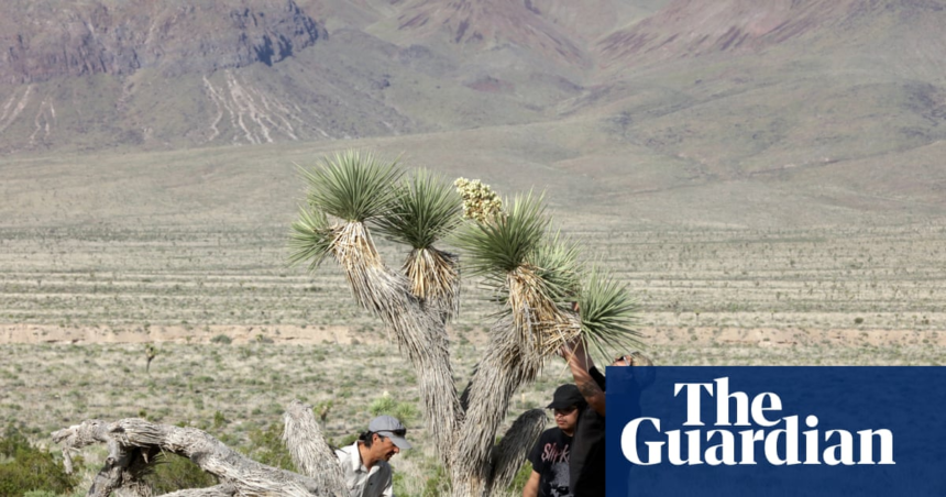 wp-header-logo-1669.png Showdown in the desert: the small town fending off a new California gold rush – The Guardian