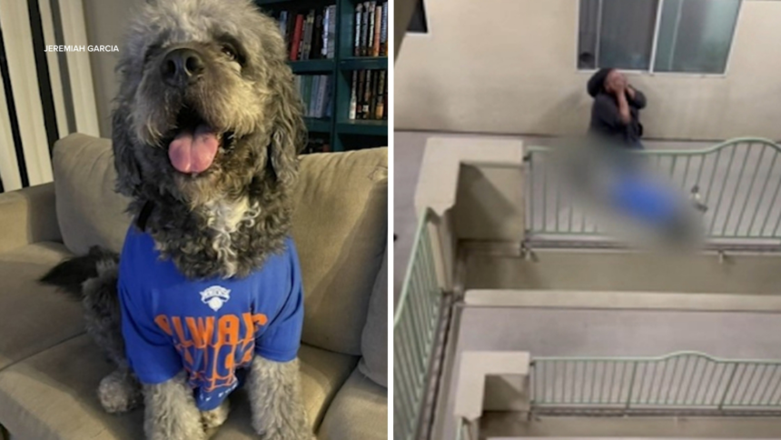 wp-header-logo-1740.png Neighbor who called 911 apologizes after LAPD fatally shoots dog during Knicks celebration in Canoga Park – ABC7 Exclusive – ABC7 Los Angeles