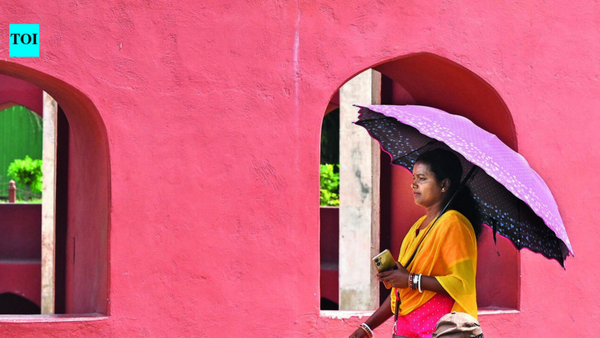 Heat index rises, humidity sustains – The Times of India