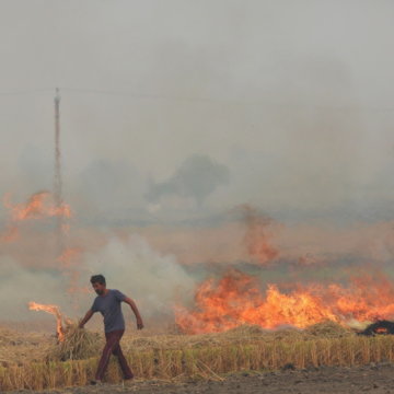 1 in 3 Punjab farmers burn stubble despite using special machines. New study answers why – The Indian Express