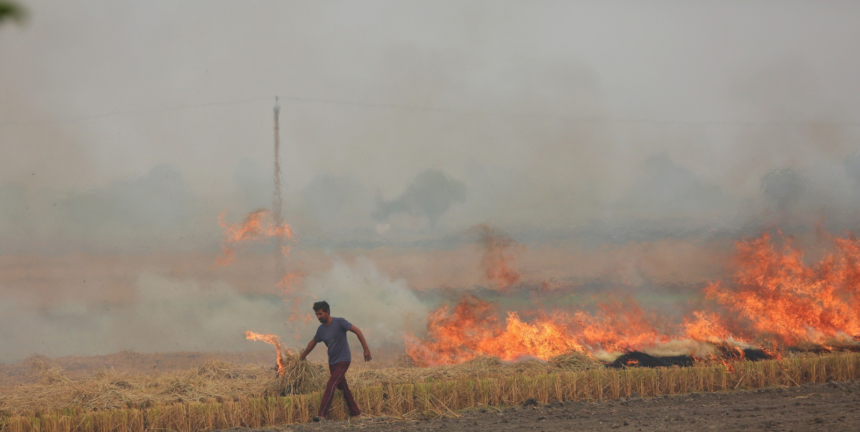 1 in 3 Punjab farmers burn stubble despite using special machines. New study answers why – The Indian Express