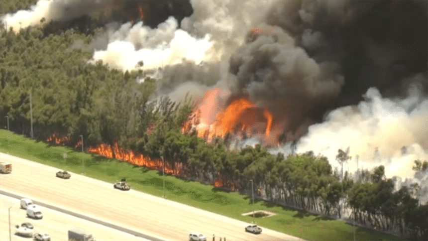 wp-header-logo-2326.png Three wildfires burn more than 20,000 acres in Miami-Dade, force road closures – NBC 6 South Florida