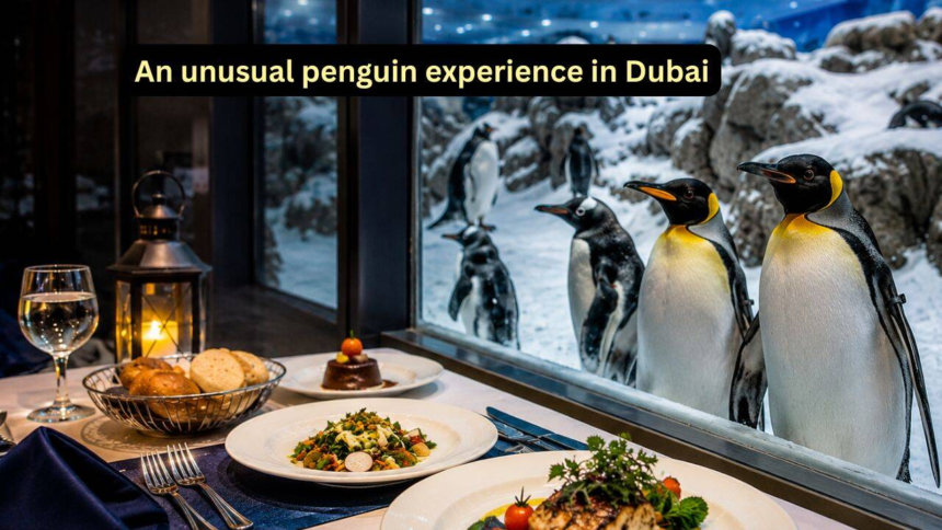 wp-header-logo-2332.png A meal with penguins amid snow: The unusual travel experience you didn’t know existed in Dubai