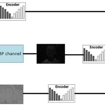 wp-header-logo-2345.png Multi-modal texture fusion network for detecting AI-generated images – Frontiers