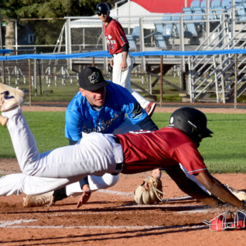 wp-header-logo-2376.png Tarp Skunks drop third straight – observertoday.com