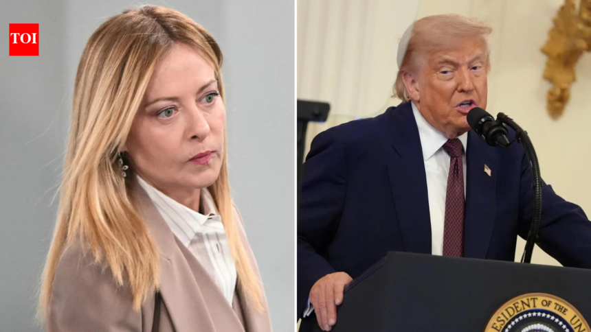 wp-header-logo-2555.png 'Being your friend certainly hasn't helped': Italy's Meloni fumes as Trump doubles down on 'photo' claim – The Times of India