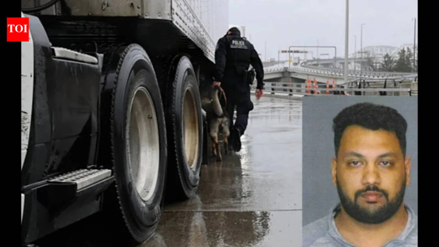 Cocaine hidden inside cheese powder box: Indian man arrested on US-Canada border, says he didn't know abo – The Times of India