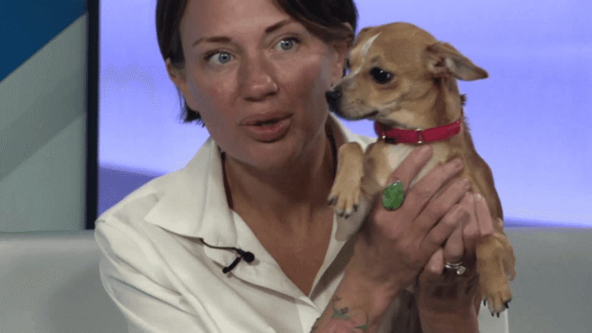 wp-header-logo-2618.png ADOPT TODAY: Meet Willow – wwmtarc
