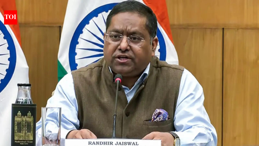 'Driven by bigotry and hatred': MEA hits back at Pakistan president, calls comments 'absurd' – The Times of India