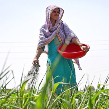 India eyes biofertilizers as war stokes supply fears – Taipei Times