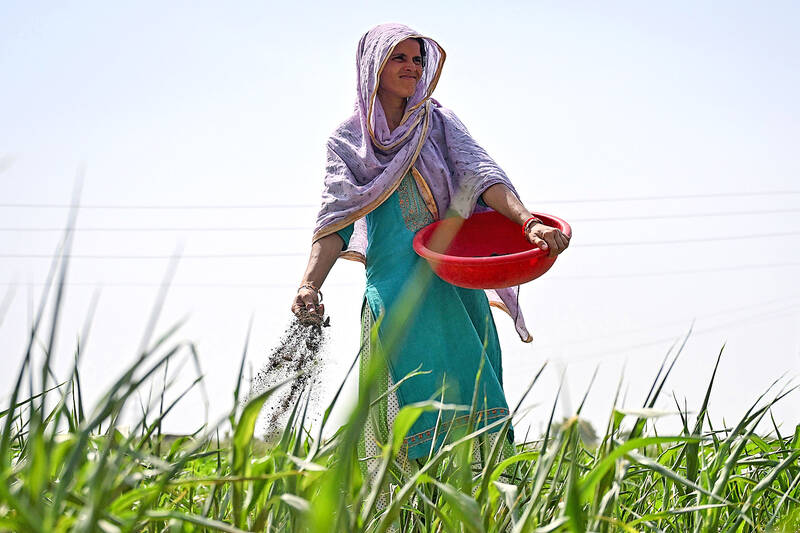 wp-header-logo-2689.png India eyes biofertilizers as war stokes supply fears – Taipei Times