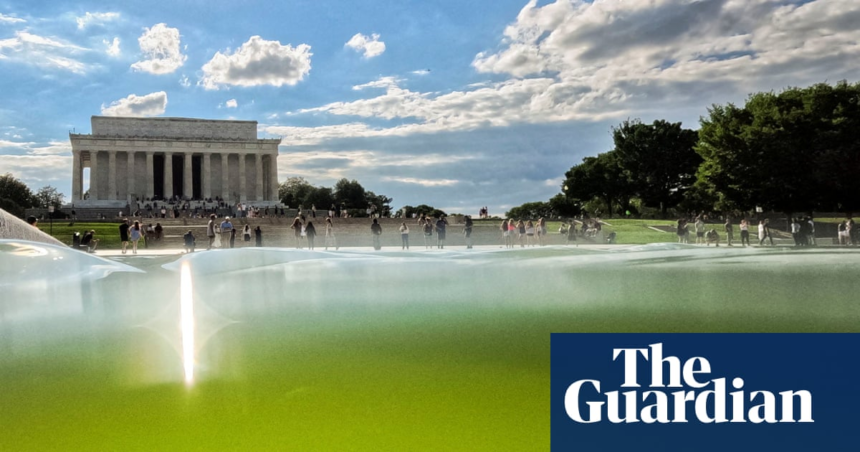 Algae thwart Trump’s $14.2m attempt to turn reflecting pool ‘American flag blue’ – The Guardian