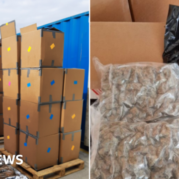 Three arrested after record-breaking £139m cannabis seizure – BBC