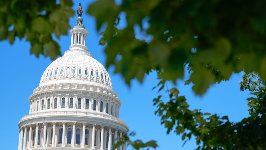 4 races to watch in New York 2026 primaries for Congress – Spectrum News