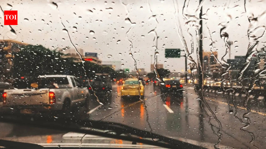 Planning a trip? Tourist hotspots across India face rain, storms and delays – The Times of India