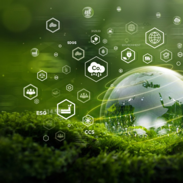Top tips for launching a career at the intersection of tech and sustainability – Silicon Republic