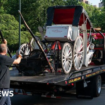 Teenager dies in horse-drawn carriage accident in New York – BBC